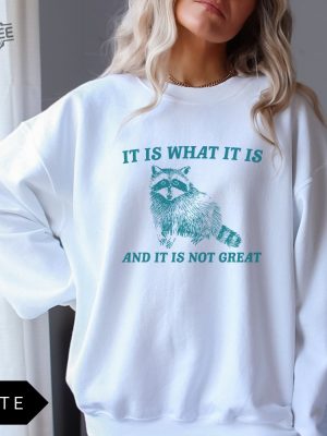 It Is What It Is And It Is Not Great Sweatshirt Meme Sweatshirt Vintage Sweatshirt Raccoon Sweatshirt Unique revetee 5