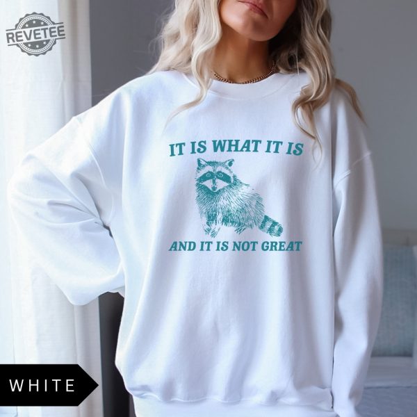 It Is What It Is And It Is Not Great Sweatshirt Meme Sweatshirt Vintage Sweatshirt Raccoon Sweatshirt Unique revetee 5