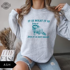 It Is What It Is And It Is Not Great Sweatshirt Meme Sweatshirt Vintage Sweatshirt Raccoon Sweatshirt Unique revetee 6