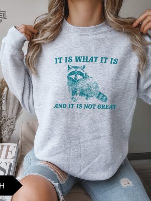 It Is What It Is And It Is Not Great Sweatshirt Meme Sweatshirt Vintage Sweatshirt Raccoon Sweatshirt Unique revetee 6