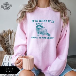 It Is What It Is And It Is Not Great Sweatshirt Meme Sweatshirt Vintage Sweatshirt Raccoon Sweatshirt Unique revetee 7