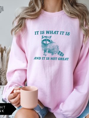 It Is What It Is And It Is Not Great Sweatshirt Meme Sweatshirt Vintage Sweatshirt Raccoon Sweatshirt Unique revetee 7