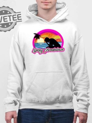 Spring Breakdown T Shirt Spring Breakdown Hoodie Spring Breakdown Shirt Unique Mlp Spring Breakdown Shirt revetee 4