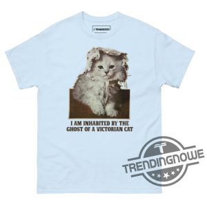 I Am Inhabited By The Ghost Of A Victorian Cat Shirt trendingnowe 2