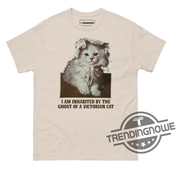 I Am Inhabited By The Ghost Of A Victorian Cat Shirt trendingnowe 4