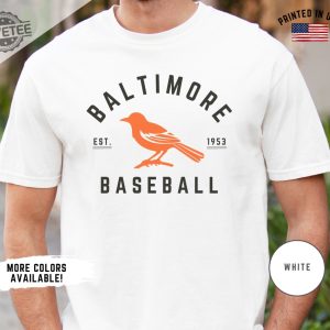 Vintage Baltimore Orioles Shirt Retro Baltimore Orioles Baseball Tshirt Baltimore Baseball Orioles Sweatshirt Orioles Hoodie Orioles Vintage Tee revetee 3