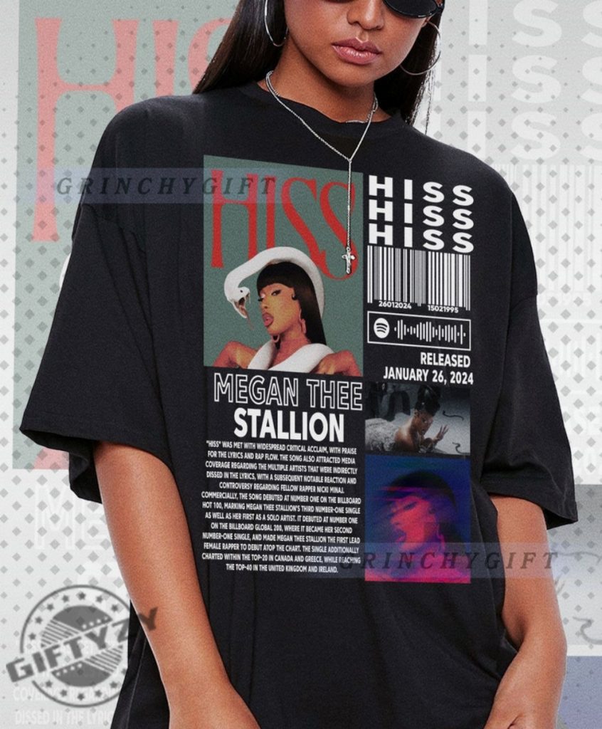 Retro Megan Thee Stallion Shirt Vintage Bootleg Inspired Hoodie Graphic Unisex Hoodie Megan Thee Stallion Vintage Tshirt Retro Megan Shirt giftyzy 1
