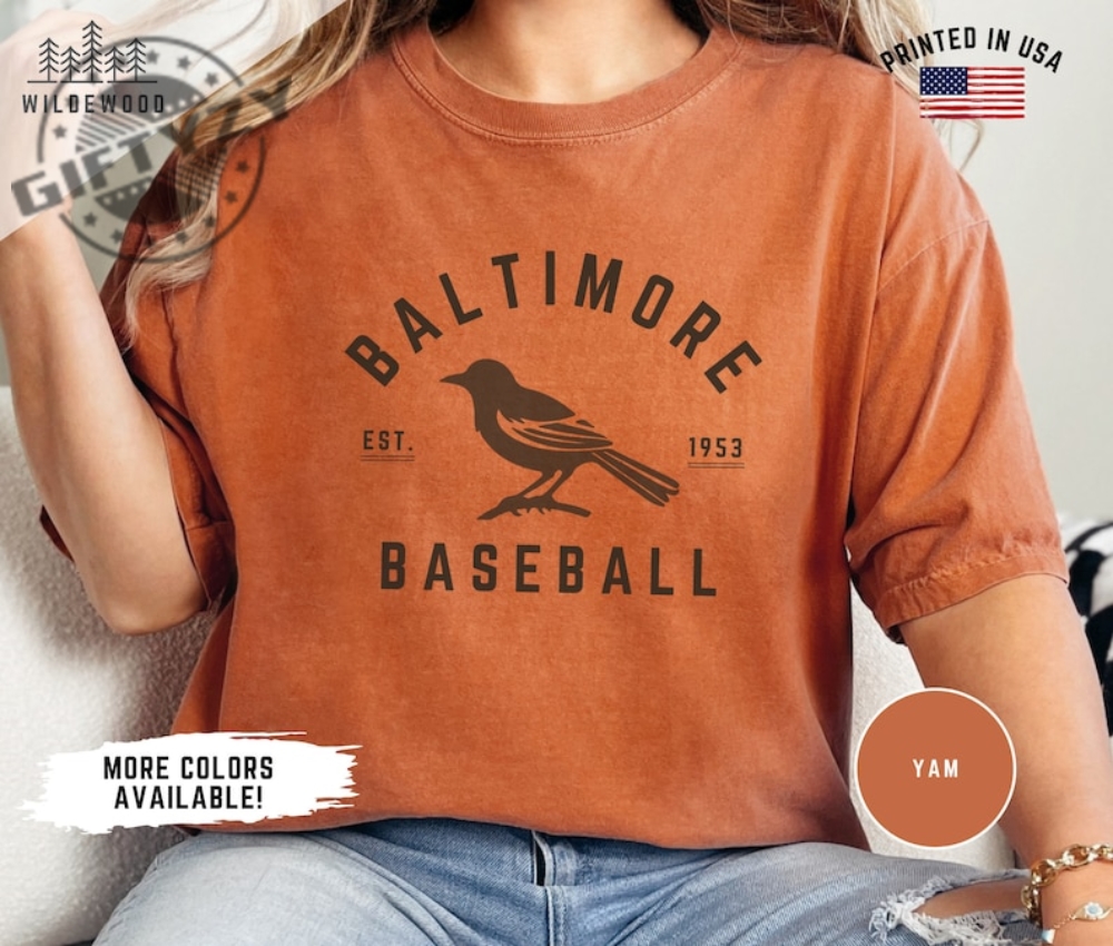 Baltimore Orioles Shirt Retro Baltimore Orioles Baseball Tshirt Retro Sports Hoodie Orioles Baseball Sweatshirt Baltimore Sports Fan Apparel