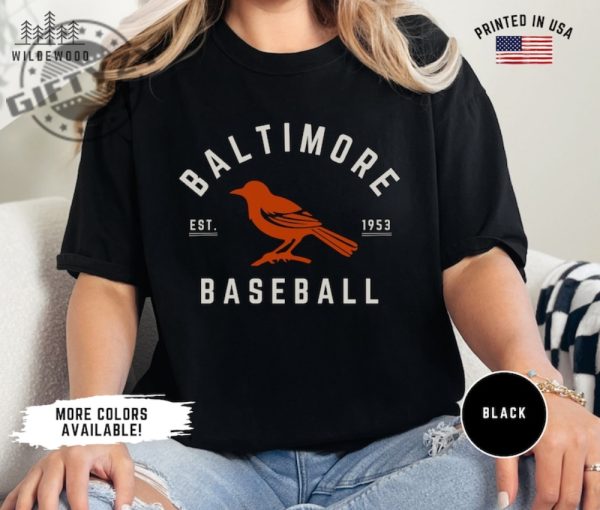 Baltimore Orioles Shirt Retro Baltimore Orioles Baseball Tshirt Retro Sports Hoodie Orioles Baseball Sweatshirt Baltimore Sports Fan Apparel giftyzy 3
