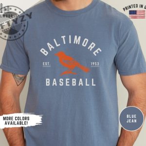 Baltimore Orioles Shirt Retro Baltimore Orioles Baseball Tshirt Retro Sports Hoodie Orioles Baseball Sweatshirt Baltimore Sports Fan Apparel giftyzy 4