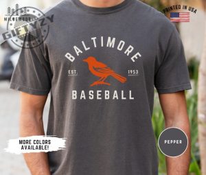 Baltimore Orioles Shirt Retro Baltimore Orioles Baseball Tshirt Retro Sports Hoodie Orioles Baseball Sweatshirt Baltimore Sports Fan Apparel giftyzy 5