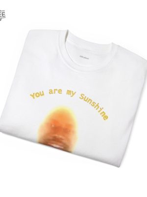 Lebonbon Meme Tshirt You Are My Sunshine Tshirt Lebron James Meme Tee Unique revetee 2