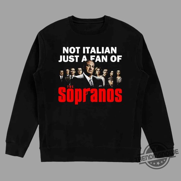 Not Italian Just A Fan Tshirt trendingnowe 1 3