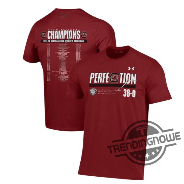 South Carolina Championship Shirt V4 South Carolina Gamecocks Under Armour 2024 National Champions Shirt Dawn Staley Shirt trendingnowe 2