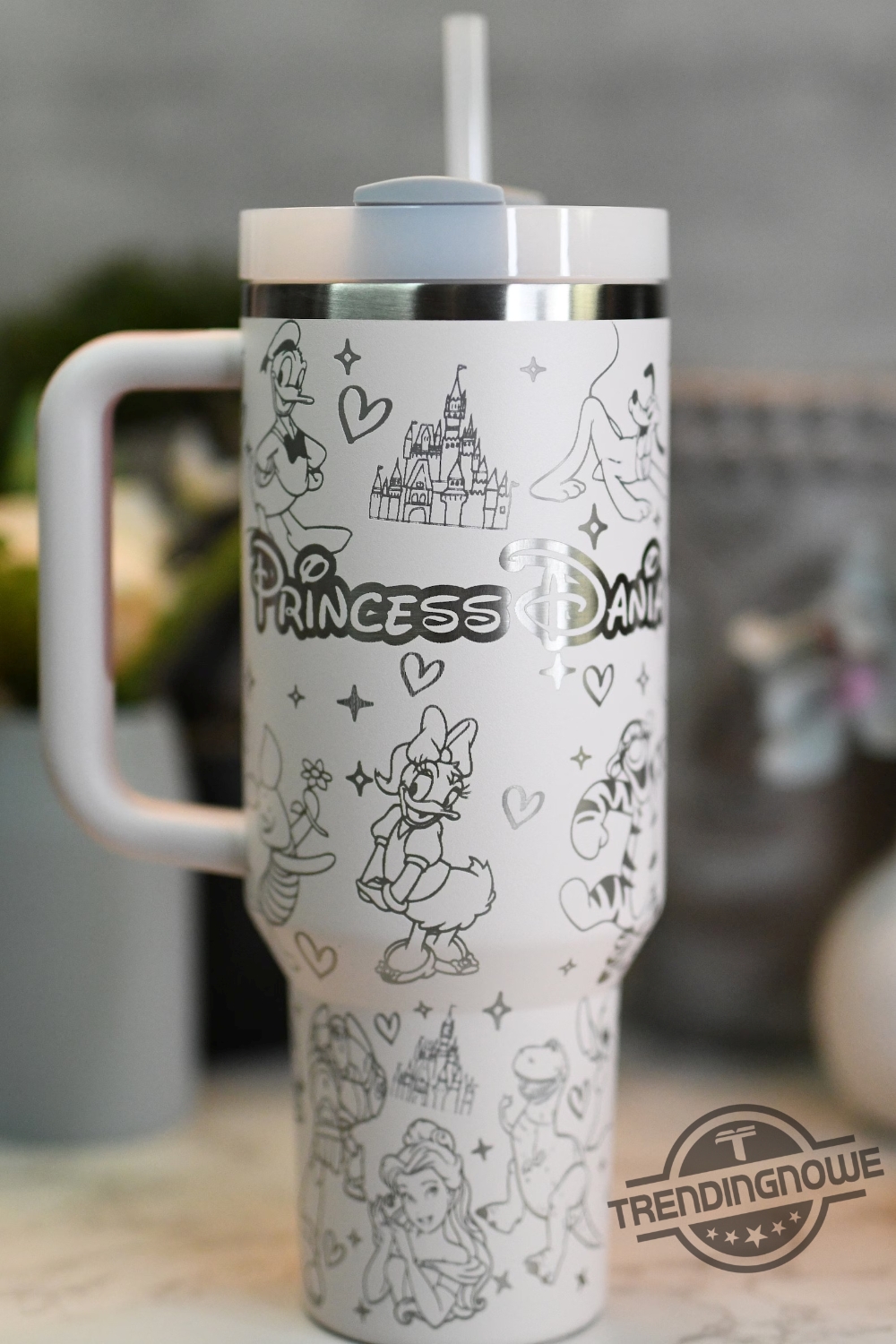 Princess Disney Stanley Cup Disney Characters Engraved Stanley Tumbler Gift For Fan