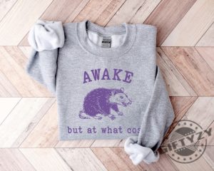 Awake But At What Cost Retro Shirt Funny Opossum Meme Tshirt Sarcastic Sayings Sweatshirt Vintage 90S Gag Hoodie Funny Rat Mental Health Shirt giftyzy 2