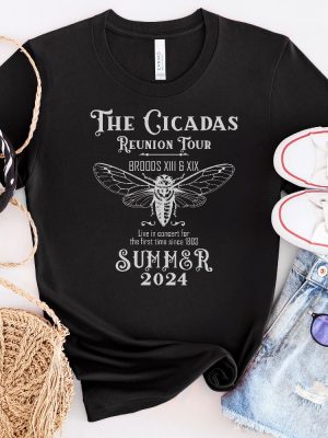 Cicada Shirt 2024 Cicada Emergence Unisex Jersey Short Sleeve Tee Funny Cicada Concert Shirt Bug Humor Goblincore Insect Tee Unique revetee 2