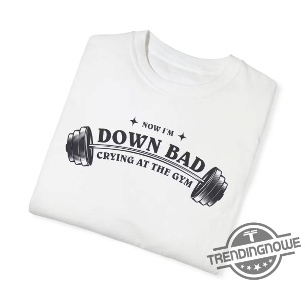 Down Bad Tortured Poets Department Shirt Gym Shirt Taylor Swift Shirt Taylor Swift Merch Tpd Shirt trendingnowe 1