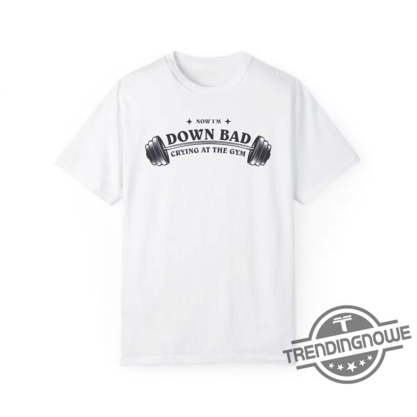 Down Bad Tortured Poets Department Shirt Gym Shirt Taylor Swift Shirt Taylor Swift Merch Tpd Shirt trendingnowe 2