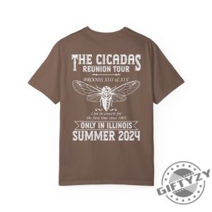 Cicada Concert Tour 2024 Shirt Illinois Cicada Broods Tshirt Insect Bug Hoodie Nature Unisex Graphic Sweatshirt Adult Top Cool Bug Shirt giftyzy 7