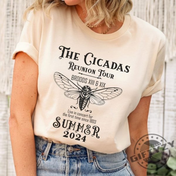 Cicada Shirt 2024 Cicada Emergence Unisex Hoodie Funny Cicada Concert Tshirt Bug Humor Goblincore Insect Sweatshirt Nature Lover Shirt giftyzy 1