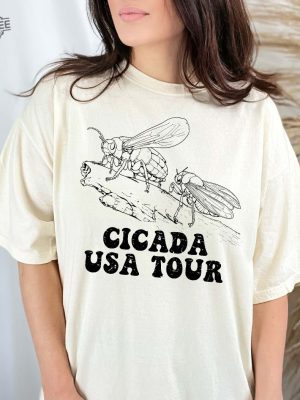 Great Cicada Comeback Tour 2024 Insect Invasion Retro Entomology Cicada Fest 2024 Broods Xix Xiii Love Tour Gift T Shirt Unique revetee 3