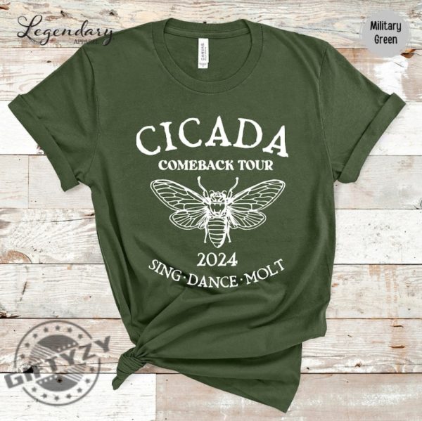 Cicada Shirt 2024 Cicada Reunion Hoodie Funny Cicada Concert Tshirt Bug Humor Goblincore Insect Unisex Sweatshirt Nature Lover Gift giftyzy 2
