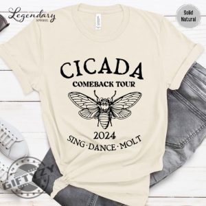 Cicada Shirt 2024 Cicada Reunion Hoodie Funny Cicada Concert Tshirt Bug Humor Goblincore Insect Unisex Sweatshirt Nature Lover Gift giftyzy 3