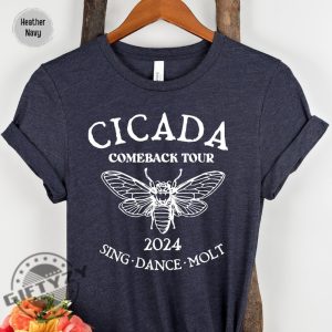 Cicada Shirt 2024 Cicada Reunion Hoodie Funny Cicada Concert Tshirt Bug Humor Goblincore Insect Unisex Sweatshirt Nature Lover Gift giftyzy 4