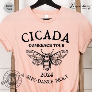 Cicada Shirt 2024 Cicada Reunion Hoodie Funny Cicada Concert Tshirt Bug Humor Goblincore Insect Unisex Sweatshirt Nature Lover Gift giftyzy 5