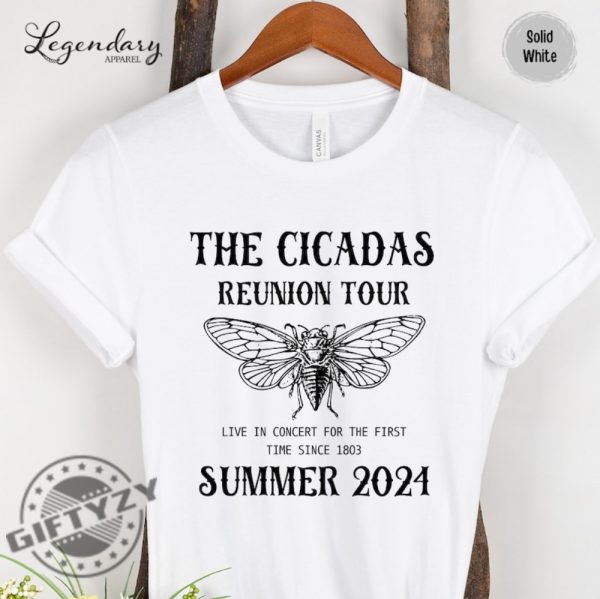 Cicada Shirt 2024 Cicada Reunion Hoodie Funny Cicada Concert Tshirt Bug Humor Goblincore Insect Sweatshirt Nature Lover Gift giftyzy 3