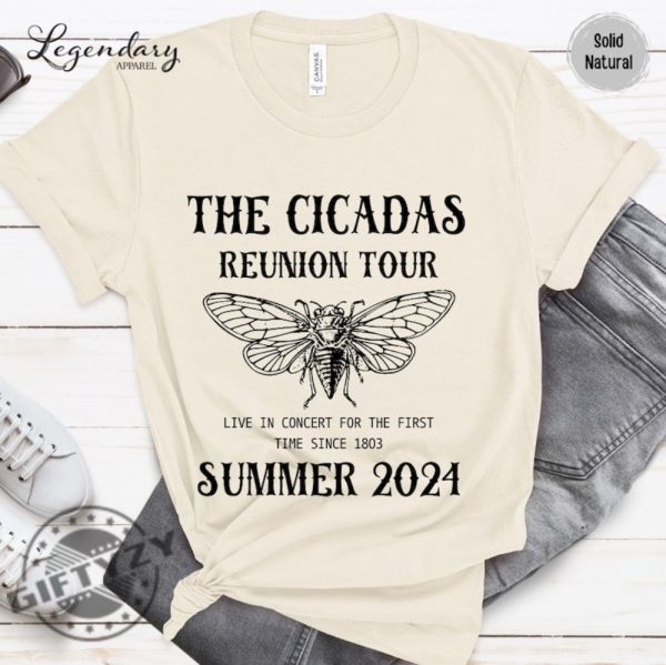 Cicada Shirt 2024 Cicada Reunion Hoodie Funny Cicada Concert Tshirt Bug Humor Goblincore Insect Sweatshirt Nature Lover Gift giftyzy 4