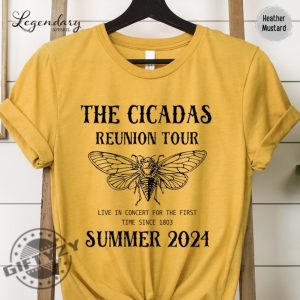 Cicada Shirt 2024 Cicada Reunion Hoodie Funny Cicada Concert Tshirt Bug Humor Goblincore Insect Sweatshirt Nature Lover Gift giftyzy 5