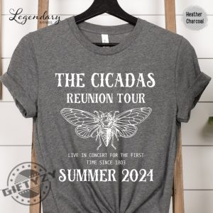 Cicada Shirt 2024 Cicada Reunion Hoodie Funny Cicada Concert Tshirt Bug Humor Goblincore Insect Sweatshirt Nature Lover Gift giftyzy 6