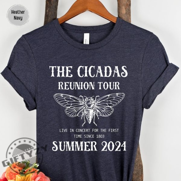 Cicada Shirt 2024 Cicada Reunion Hoodie Funny Cicada Concert Tshirt Bug Humor Goblincore Insect Sweatshirt Nature Lover Gift giftyzy 7