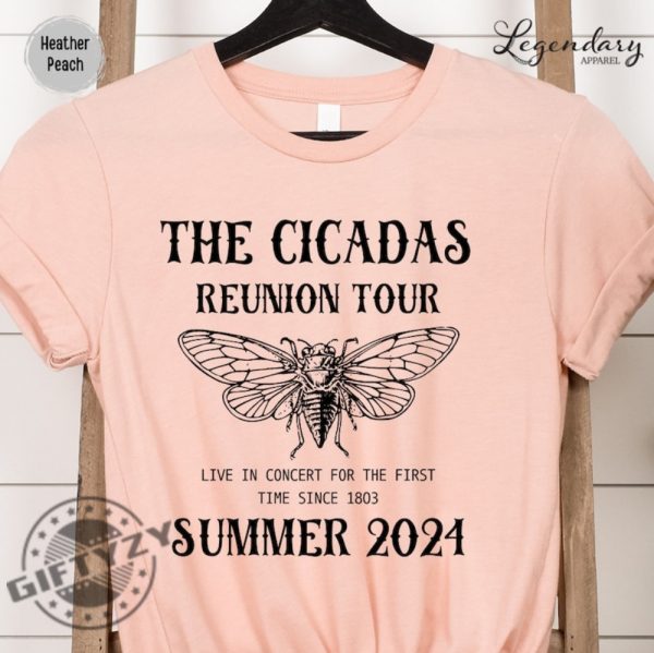 Cicada Shirt 2024 Cicada Reunion Hoodie Funny Cicada Concert Tshirt Bug Humor Goblincore Insect Sweatshirt Nature Lover Gift giftyzy 8