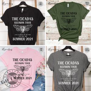 Cicada Shirt 2024 Cicada Reunion Hoodie Funny Cicada Concert Tshirt Bug Humor Goblincore Insect Sweatshirt Nature Lover Gift giftyzy 9