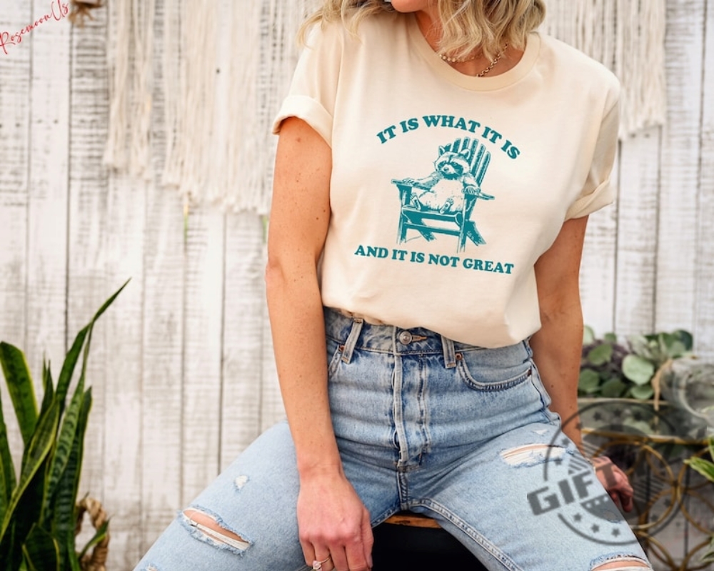 It Is What It Is And It Is Not Great Shirt Raccoon Meme Sweatshirt Funny Tshirt Mental Health Hoodie Animal Gift