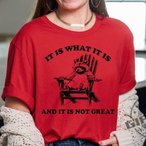 It Is What It Is And It Is Not Great Shirt Raccoon Meme Sweatshirt Funny Tshirt Mental Health Hoodie Animal Gift giftyzy 4