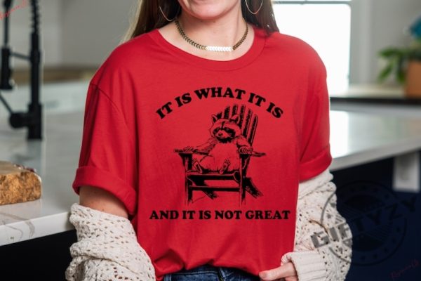It Is What It Is And It Is Not Great Shirt Raccoon Meme Sweatshirt Funny Tshirt Mental Health Hoodie Animal Gift giftyzy 4
