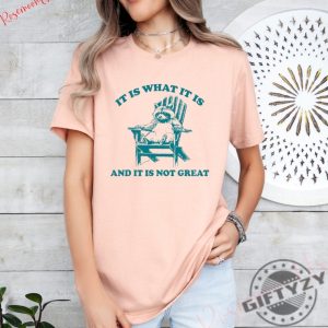 It Is What It Is And It Is Not Great Shirt Raccoon Meme Sweatshirt Funny Tshirt Mental Health Hoodie Animal Gift giftyzy 5