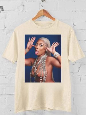 Megan Thee Stallion T Shirt Tour 2024 Vintage Megan Thee Stallion 90S Shirt Megan The Stallion T Shirt Unique revetee 2