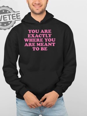 You Are Exactly Where You Are Meant To Be T Shirt You Are Exactly Where You Are Meant To Be Hoodie revetee 4