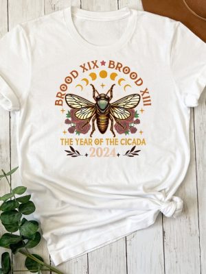 Cicada Shirt 2024 Cicada Reunion Tee Funny Cicada Concert Shirt Bug Humor Insect Shirts Nature Lover Gift Unique revetee 4