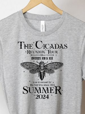 Cicada Shirt 2024 Cicada Concert Tour 2024 Cicada Reunion Tee Year Of The Cicadas Shirt Insect Lover Tee Unique revetee 3