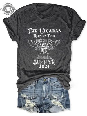 The Cicadas Reunion Tour Shirt Cicada Shirt 2024 Goblincore Insect Tee Shirts Nature Lover Gift Unique revetee 2