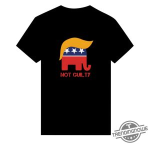 Trump Not Guilty Shirt V2 Stand With Trump T Shirt Sweatshirt Hoodie trendingnowe 2