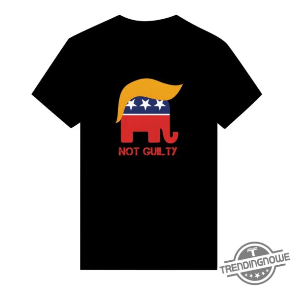 Trump Not Guilty Shirt V2 Stand With Trump T Shirt Sweatshirt Hoodie trendingnowe 2