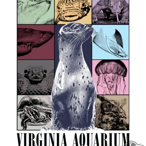 Virginia Aquarium The Aquaeras Tour Shirt Sweatshirt Hoodie trendingnowe 1
