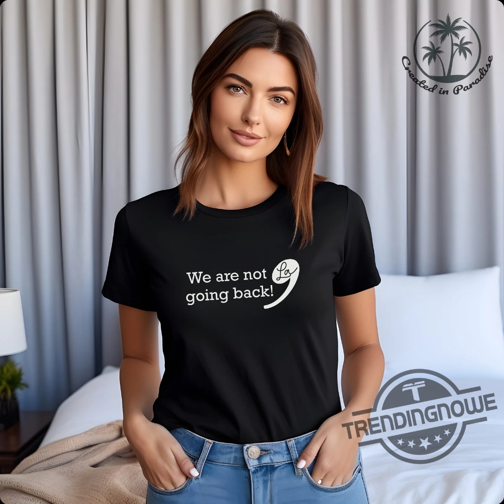 Kamala Harris 2024 Shirt We Are Not Going Back T Shirt Kamala For President Subtle Anti Trump Shirt Vote Democrat 2024 Gift